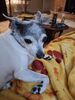 Filename=20250713_002.jpg
Filesize=412KiB
Dimensions=1536x2048
Date added=Sep 01, 2025 20250713_002.jpg