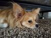 Filename=20250716_003.jpg
Filesize=448KiB
Dimensions=2048x1536
Date added=Sep 01, 2025 20250716_003.jpg