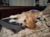 Filename=20250725_002.jpg
Filesize=443KiB
Dimensions=2048x1536
Date added=Sep 01, 2025 20250725_002.jpg