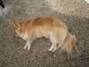 Filename=20250729_002.jpg
Filesize=835KiB
Dimensions=2048x1536
Date added=Sep 01, 2025 20250729_002.jpg