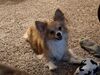 Filename=20250730_004.jpg
Filesize=677KiB
Dimensions=2048x1536
Date added=Sep 01, 2025 20250730_004.jpg