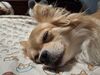 Filename=20250801_001.jpg
Filesize=485KiB
Dimensions=2048x1536
Date added=Sep 03, 2025 20250801_001.jpg