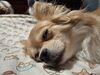 Filename=20250801_002.jpg
Filesize=519KiB
Dimensions=2048x1536
Date added=Sep 03, 2025 20250801_002.jpg