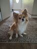 Filename=20250801_003.jpg
Filesize=492KiB
Dimensions=1536x2048
Date added=Sep 03, 2025 20250801_003.jpg