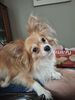 Filename=20250802_001.jpg
Filesize=357KiB
Dimensions=1536x2048
Date added=Sep 03, 2025 20250802_001.jpg