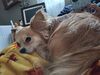 Filename=20250805_001.jpg
Filesize=515KiB
Dimensions=2048x1536
Date added=Sep 03, 2025 20250805_001.jpg