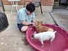 Filename=20250805_004.jpg
Filesize=660KiB
Dimensions=2048x1536
Date added=Sep 03, 2025 20250805_004.jpg