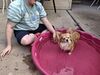 Filename=20250805_005.jpg
Filesize=612KiB
Dimensions=2048x1536
Date added=Sep 03, 2025 20250805_005.jpg
