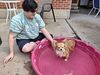 Filename=20250805_006.jpg
Filesize=670KiB
Dimensions=2048x1536
Date added=Sep 03, 2025 20250805_006.jpg