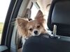 Filename=20250806_003.jpg
Filesize=405KiB
Dimensions=2048x1536
Date added=Sep 03, 2025 20250806_003.jpg