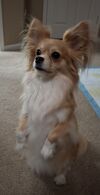 Filename=20250815_413.jpg
Filesize=613KiB
Dimensions=2048x4009
Date added=Sep 27, 2025 20250815_413.jpg