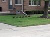 20250817_007.jpg