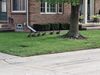 20250817_008.jpg
