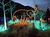 20260101_013.jpg