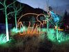 20260101_014.jpg