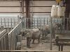 20260101_025.jpg