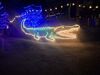 20260101_031.jpg