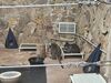 20260101_034.jpg