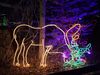 20260101_047.jpg