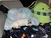 20260131_004.jpg
