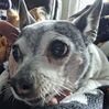 20260221_004.jpg