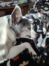 20260221_005.jpg